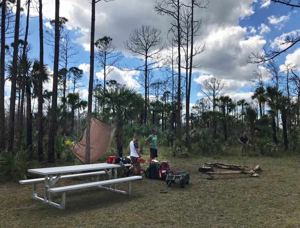 You can backpack into the back country along this Everglades hiking trail and find a primitive campsite. (Photo: Bonnie Gross)