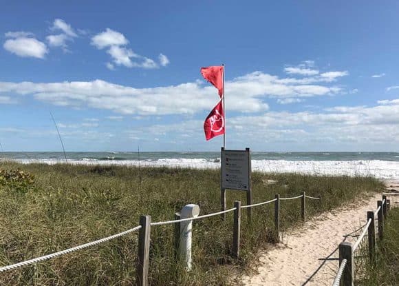 warning flags for swimmer at Avalon Beach State Park national navy seal museum