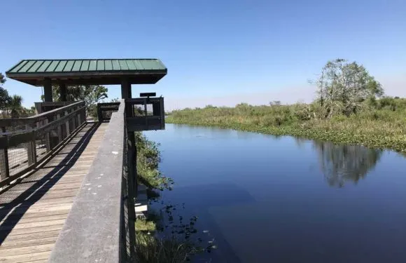 The Broward rest stop at Alligator Alley MM 35 on Alligator Alley connects to several boat ramps and this tower, which provided good wildlife viewing. (Photo: Bonnie Gross)
