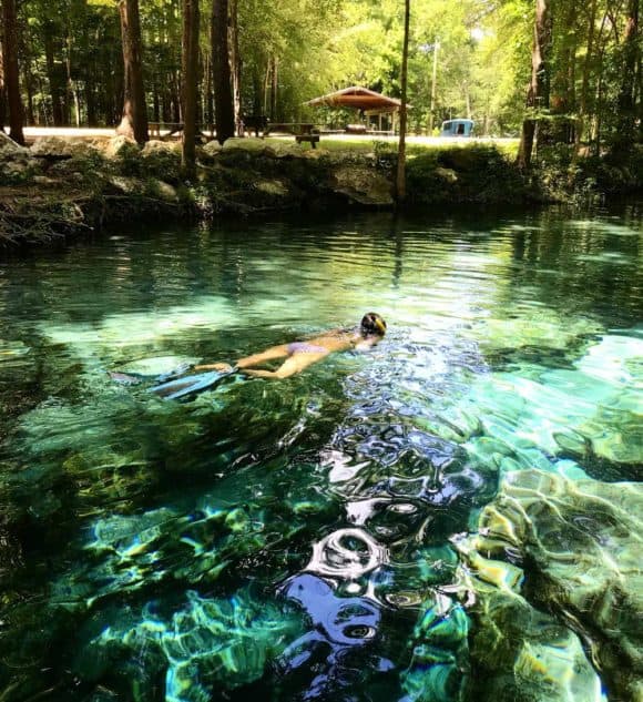 Snorkeling over a spring at Ginnie Springs. (Photo: Bonnie Gross)