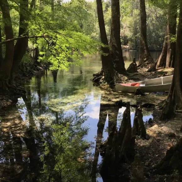 High Springs is one of the best towns for kayaking in Florida: One big reason is the Santa Fe River, where we delighted in this small unnamed spring near Rum Island (Photo: Bonnie Gross)