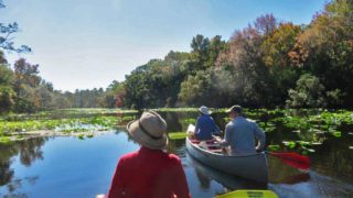 Alexander Springs in Ocala National Forest offers easy scenic paddling with lots of wildlife.