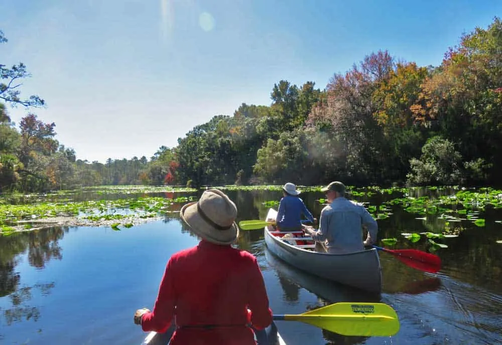 Alexander Springs in Ocala National Forest offers easy scenic paddling with lots of wildlife.
