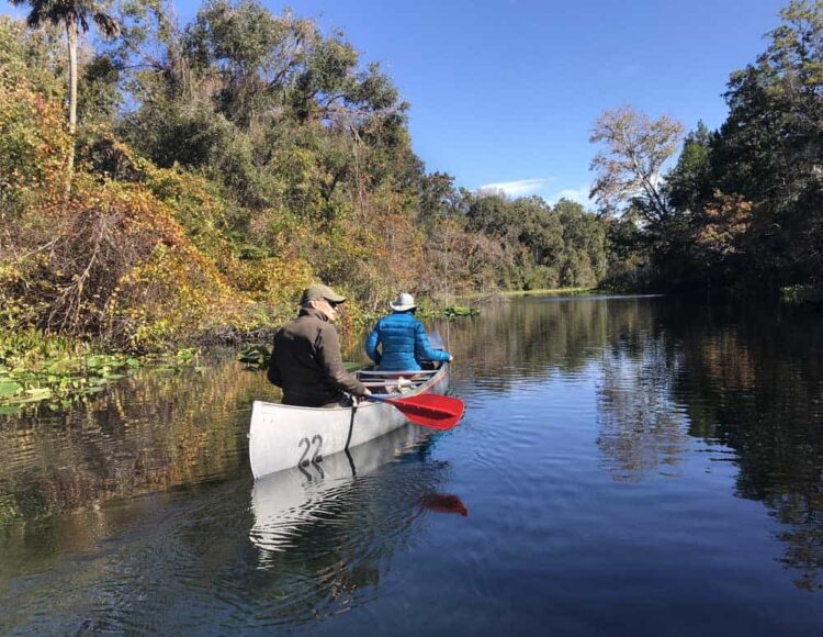 Kayaking in Orlando: In fall, the colors are are oranges and golds ata Alexander Springs in Ocala National Forest.(Photo: Bonnie Gross)