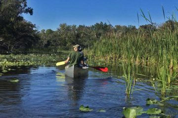 Alexander Springs in Ocala National Forest is a wide, slow-moving stream with extremely clear, clean water. (Photo: Bonnie Gross)