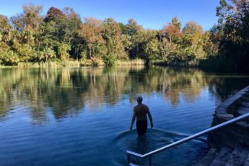 The swimming area at Alexander Springs in Ocala National Forest is excellent -- if you like 72 degree water. (Photo: Bonnie Gross)