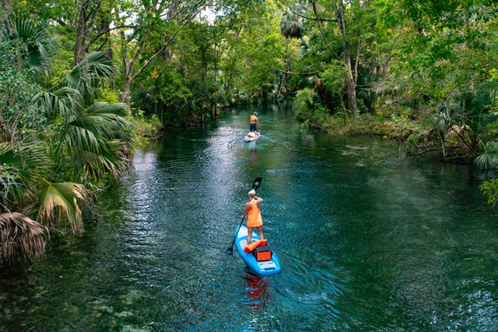 Silver Springs State Park: Wonderful kayaking is just the start of why this is one of the best Florida state parks. (Photo: Bonnie Gross)