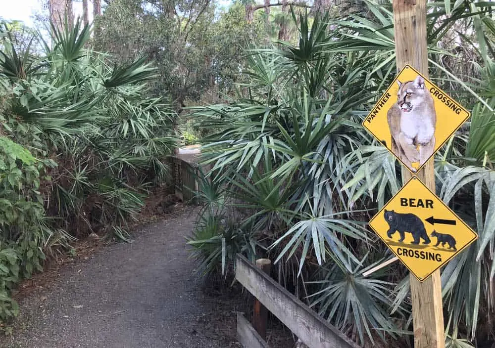 Florida wildlife rescue centers you can visit: A trail at Busch Wildlife Sanctuary in Jupiter. (Photo: David Blasco)