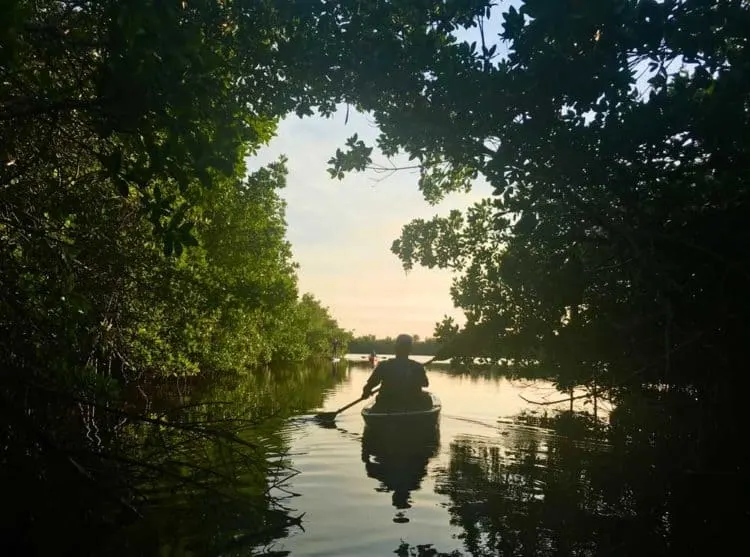 The East River is a beautiful kayak trail winding through mangrove tunnels and through pretty little lakes, all filled with birds and alligators. (Photo: Bonnie Gross)