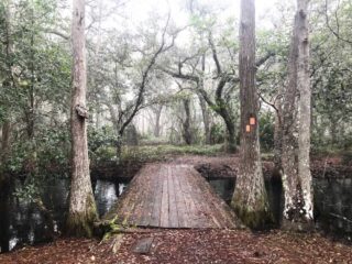 The bridge over Big Creek at Lake Louisa State Park in Clermont. (Photo: Bonnie Gross)