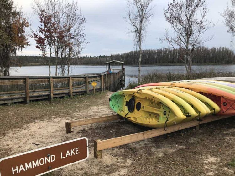 You can rent kayaks to paddle on Hammond Lake in Lake Louisa State Park in Clermont. (Photo: Bonnie Gross)
