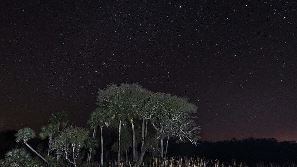 stargazing in florida dark skies at Kissimmee Prairie Preserve State Park