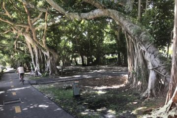 Old Cutler Trail. (Photo: Bonnie Gross)