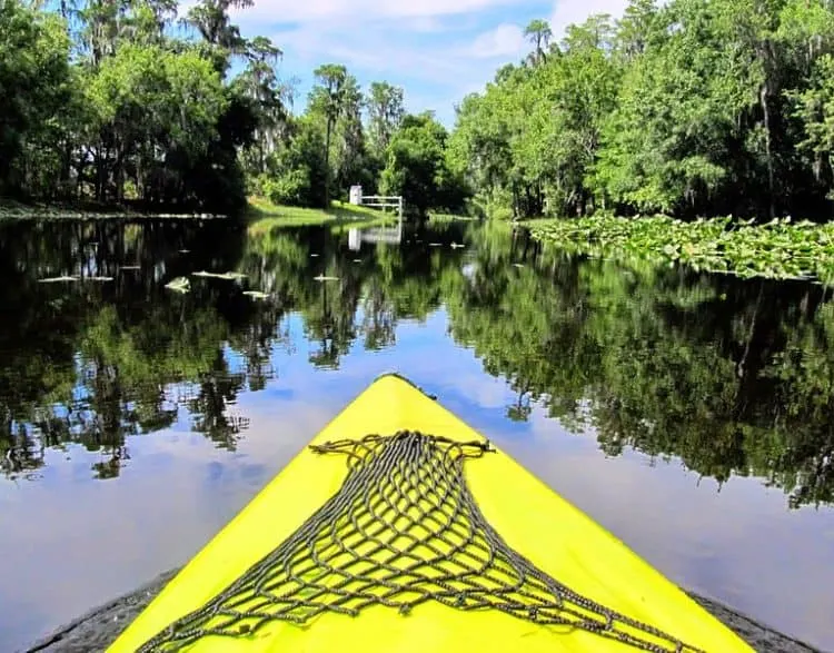 Nature parks in Orlando: Paddling on Single Creek (Photo: Miosotis Jade via Wikimedia)