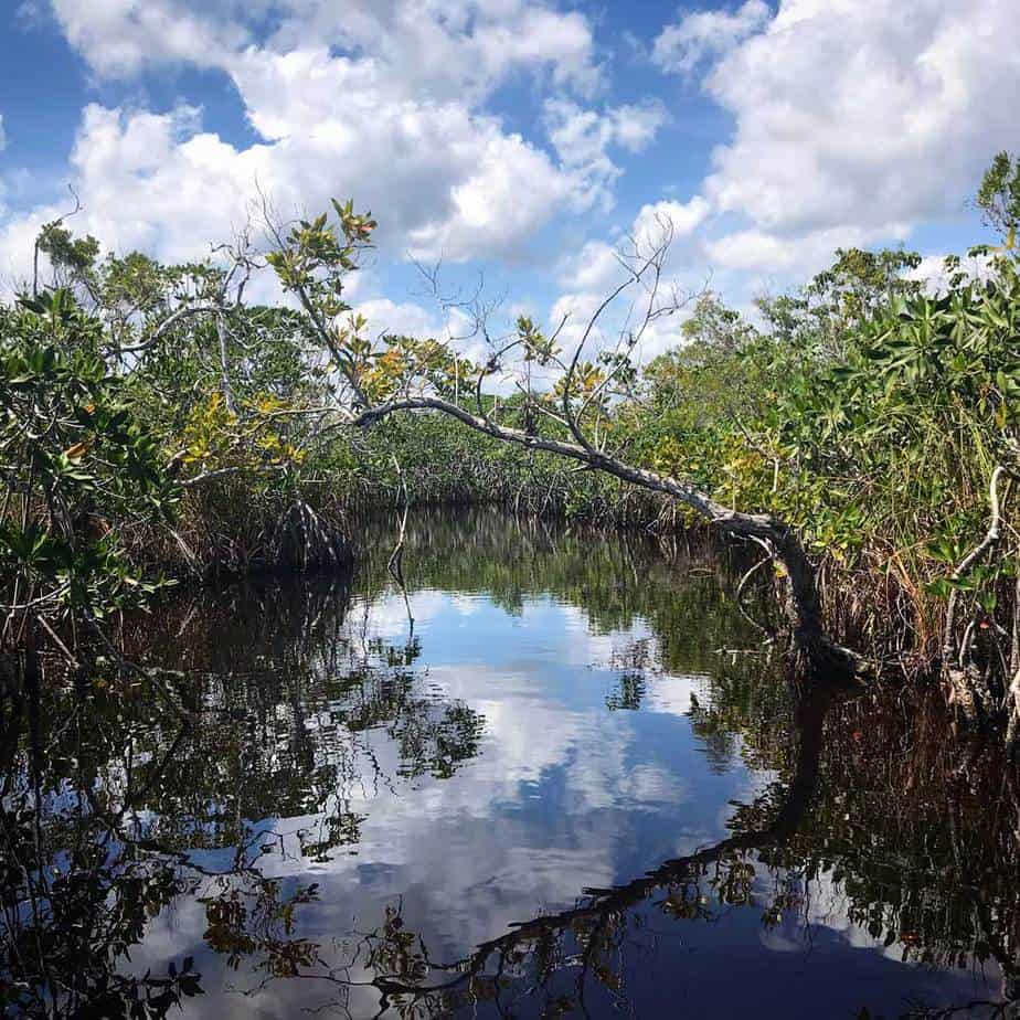 The view along Everglades National Park Hell’s Bay Kayak Trail. (Photo: Bonnie Gross)