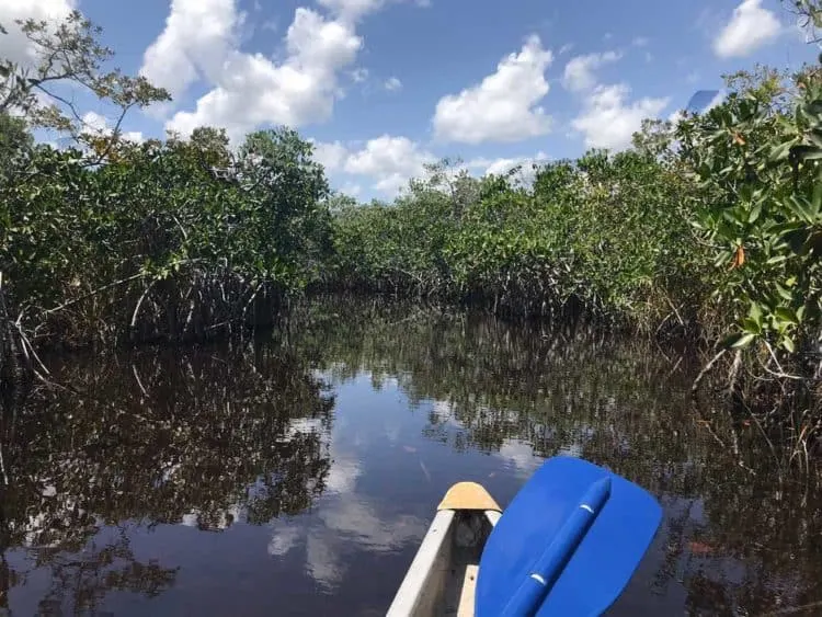 Everglades National Park Hell’s Bay Kayak Trail. (Photo: Bonnie Gross)