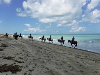 Horseback riding on Hutchinson Island