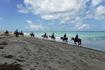 Horseback riding on Hutchinson Island