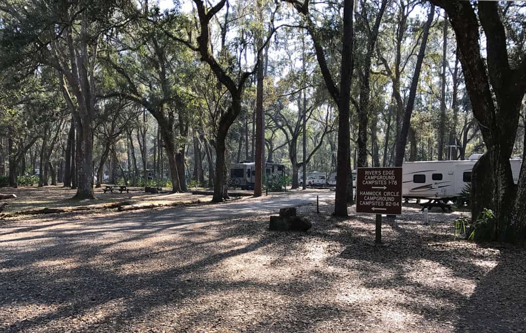 Wide view of the Hammock Campground Loop at Hillsborough River State Park. (Photo by Bob Rountree)