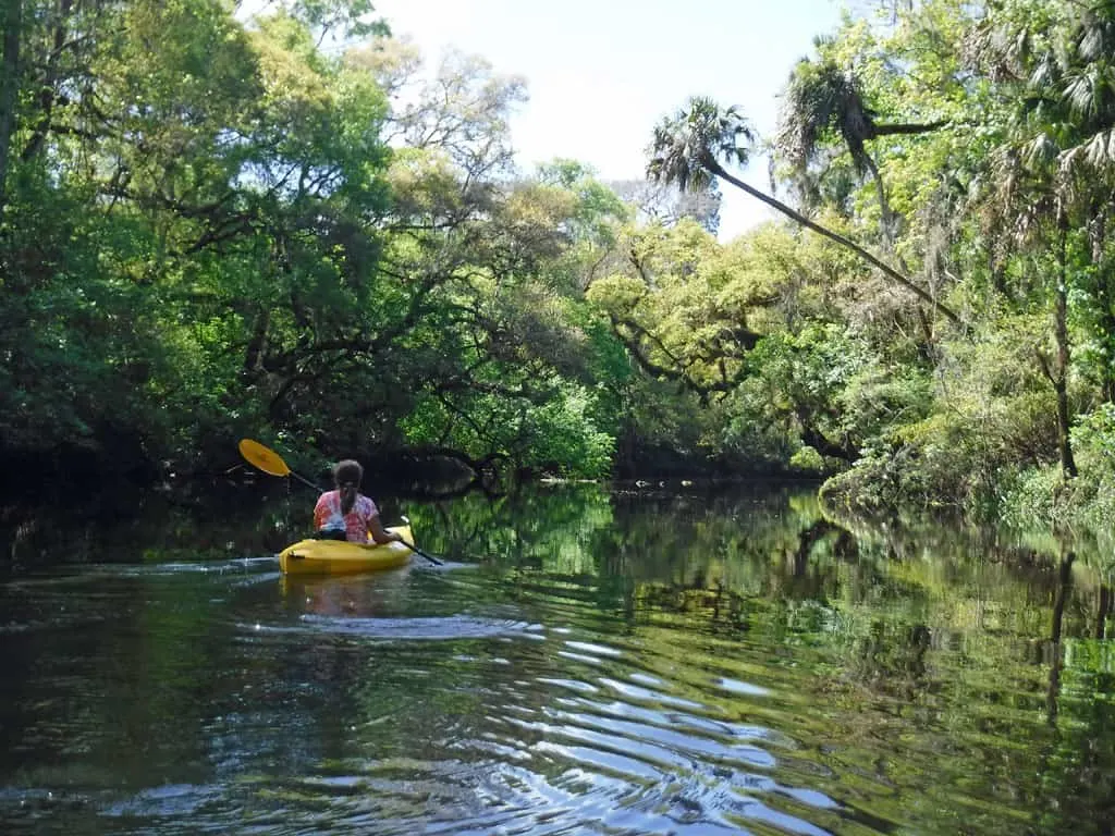 Hillsborough River State Park kayak paddle