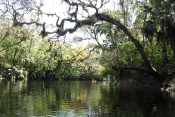 Paddling the Hillsborough River