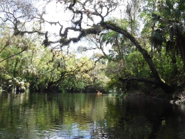 Paddling the Hillsborough River