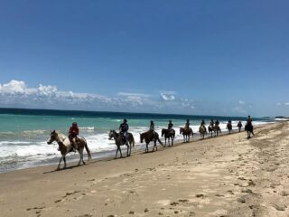 horseback riding on hutchinson island