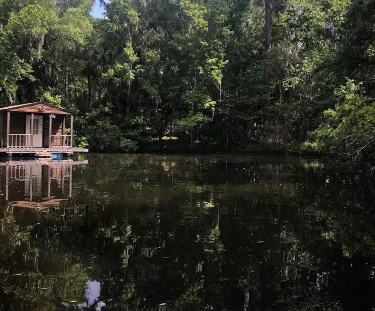 Welaka Springs is a small (third magnitude) spring surrounded by private property. The only man-made element in the pretty cove with the spring is a simple houseboat. It’s a lovely spot It’s a lovely spot not far from Welaka Fl.. (Photo: Bonnie Gross)