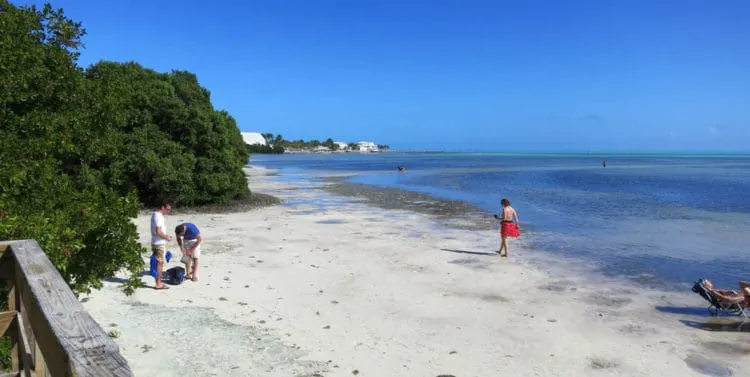 Anne's Beach in Islamorada exposes a wide swatch of sand at low tide. (Photo: Bonnie Gross)