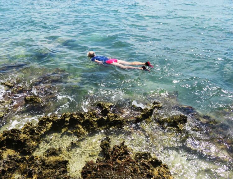 Snorkeling at Indian Key State Park is excellent. (Photo: David Blasco)