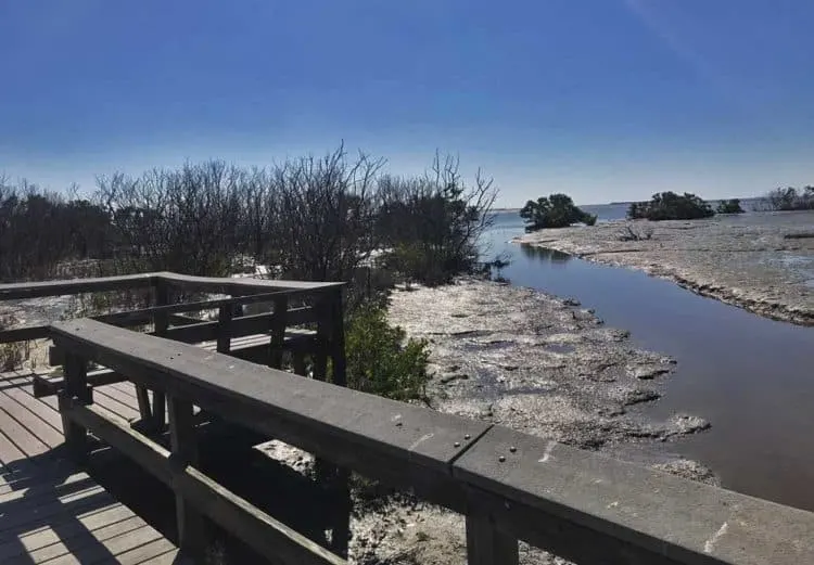 The boardwalk leading out to Florida Bay on the Snake Bight Trail near Flamingo in Everglades National Park. (Photo: Bonnie Gross)