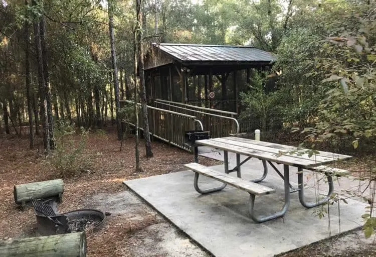 Suwannee River camping at one of the screened platforms at Woods Ferry River Camp, (Photo: Bonnie Gross)
