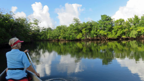 Whiskey Creek, inside Dr. Von D. Mizell-Eula Johnson State Park in Dania Beach.