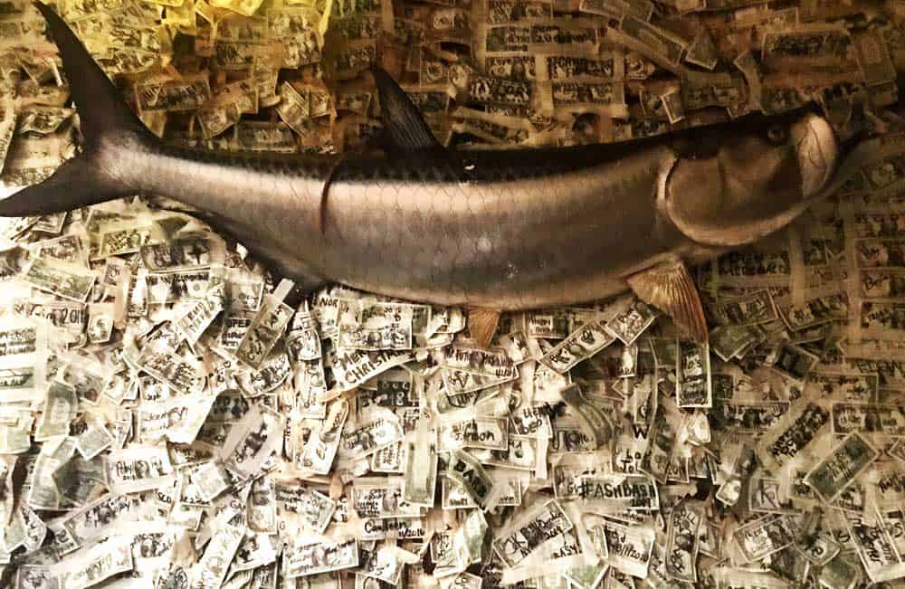 The Dollar Bill Bar at the Cabbage Key Inn is estimated to have more than $70,000 taped to its walls and ceiling. (Photo by Bonnie Gross)