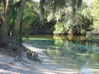 Lithia Springs lithia springs run Chill spring anchors this shady park with swimming, campground, kayaking near Tampa Bay