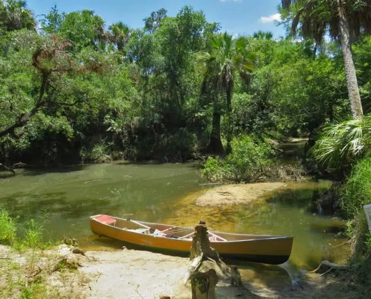 Telegraph Creek, a tributary of the Caloosahatchee River near Fort Myers (Photo: Bonnie Gross)