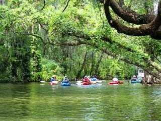 kayaking Dora Canal (Photo: Ed and Deb Higgins)
