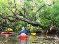 Kayaking Deer Creek in North Port.