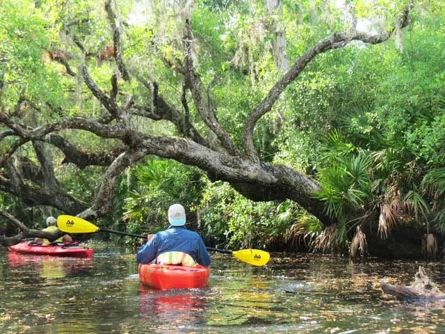 Kayaking Deer Creek in North Port.