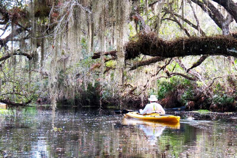 Deer Prairie Creek is a pristine, quiet, shadded paddle with loads of “Old Florida” charm. 