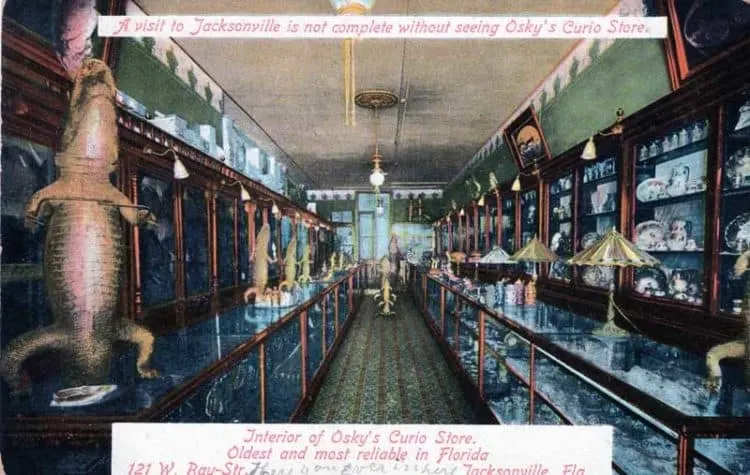 Oskys Curio Shop in Jacksonville, postmarked 1915.