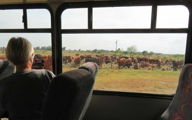 The free Deseret Ranches tour is by bus. (Photo: David Blasco)