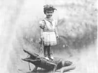 Little Big Econ State Forest girl on gator square Baby alligators for sale: When gators were souvenirs
