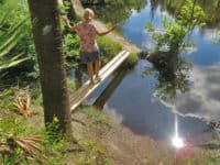 Little Big Econ State Forest little big econ 550x368 1 Top hiking trails near Orlando: Little Big Econ State Forest