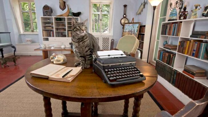 hemmingway's studio