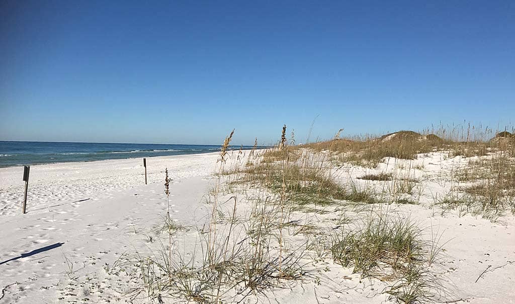 Two of 10 top beaches in USA are in Florida, according to annual ranking 5 grayton beach best beach in america best beach in florida