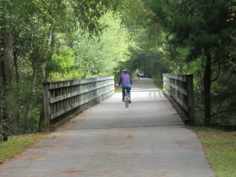 Blackwater Heritage State Trail in Milton is a long, smooth bike ride through woods and over streams. (Photo: David Blasco)