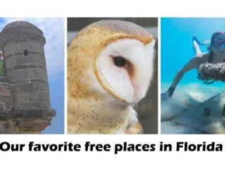 our favorite free places in florida
