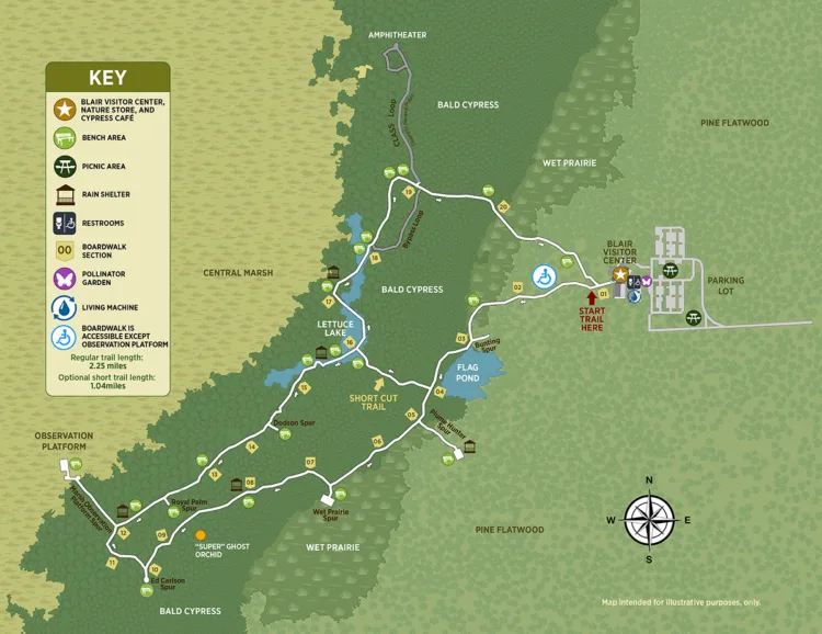 Map of boardwalk at Corkscrew Swamp Sanctuary