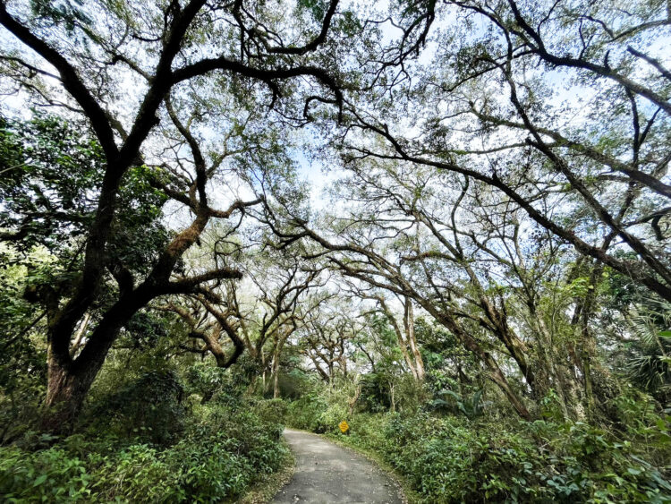 parks in south florida 2024 1 treetops park davie edited 1 The best parks in South Florida